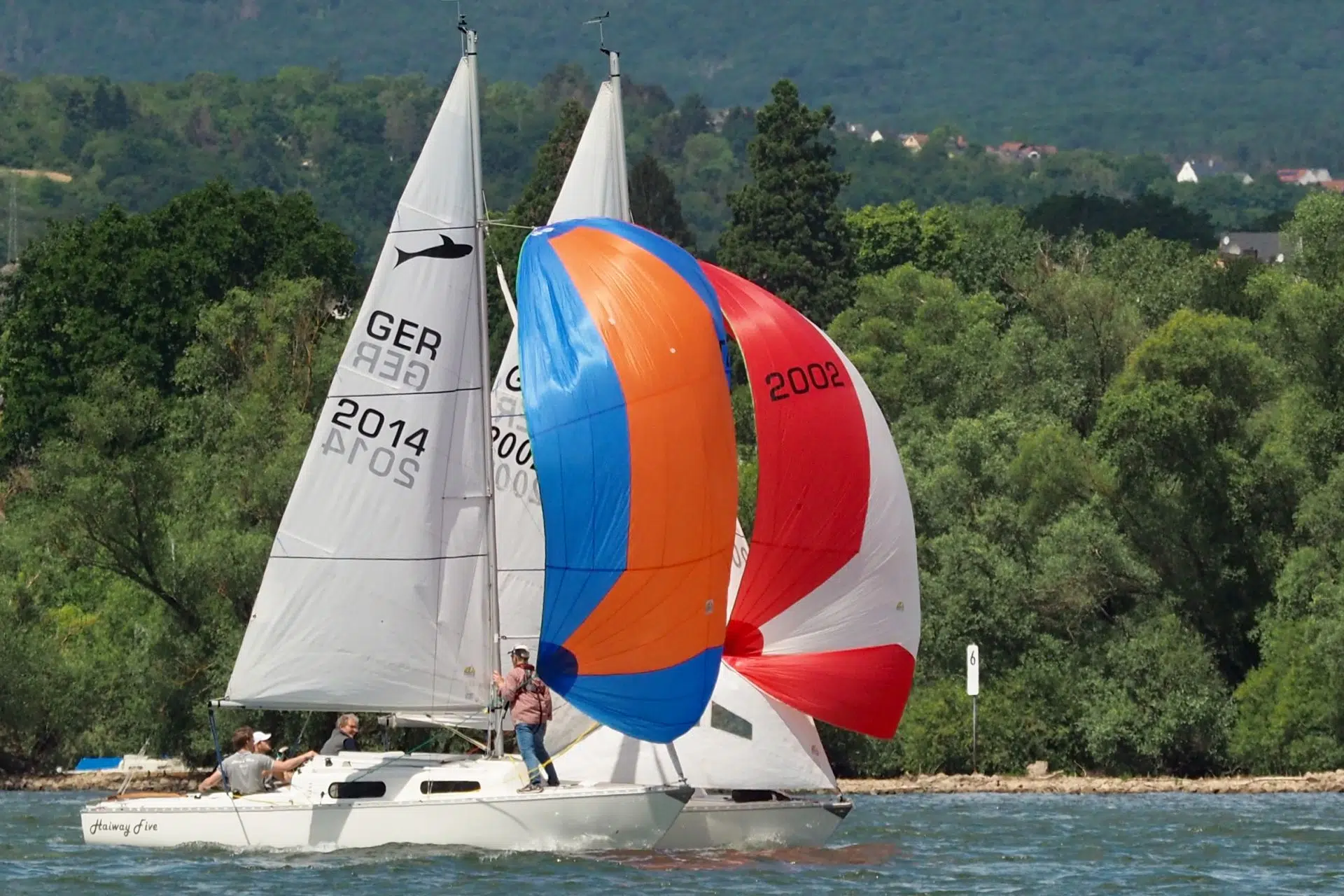 Größte Segelregatta auf dem Rhein startet in Walluf